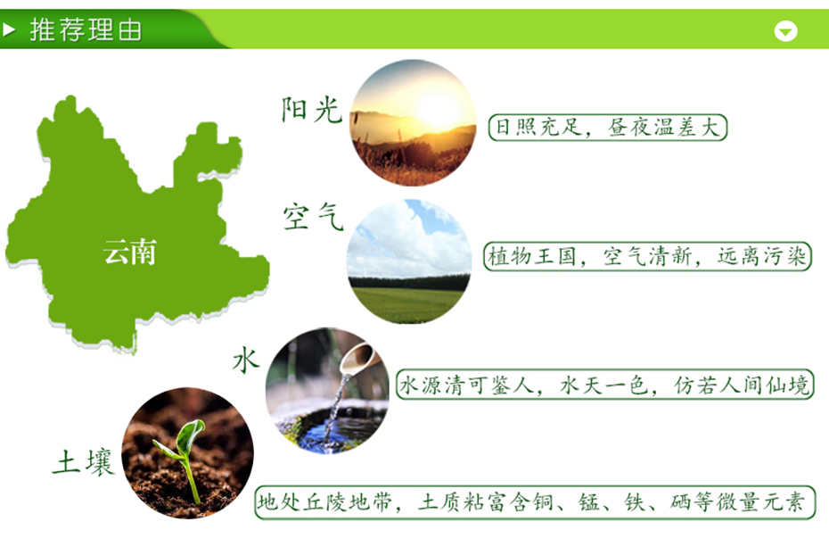 品世玉米漿