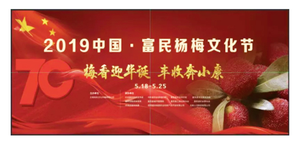 楊梅節
