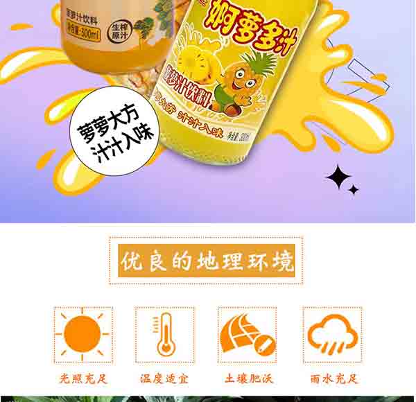 wz菠蘿詳情_05