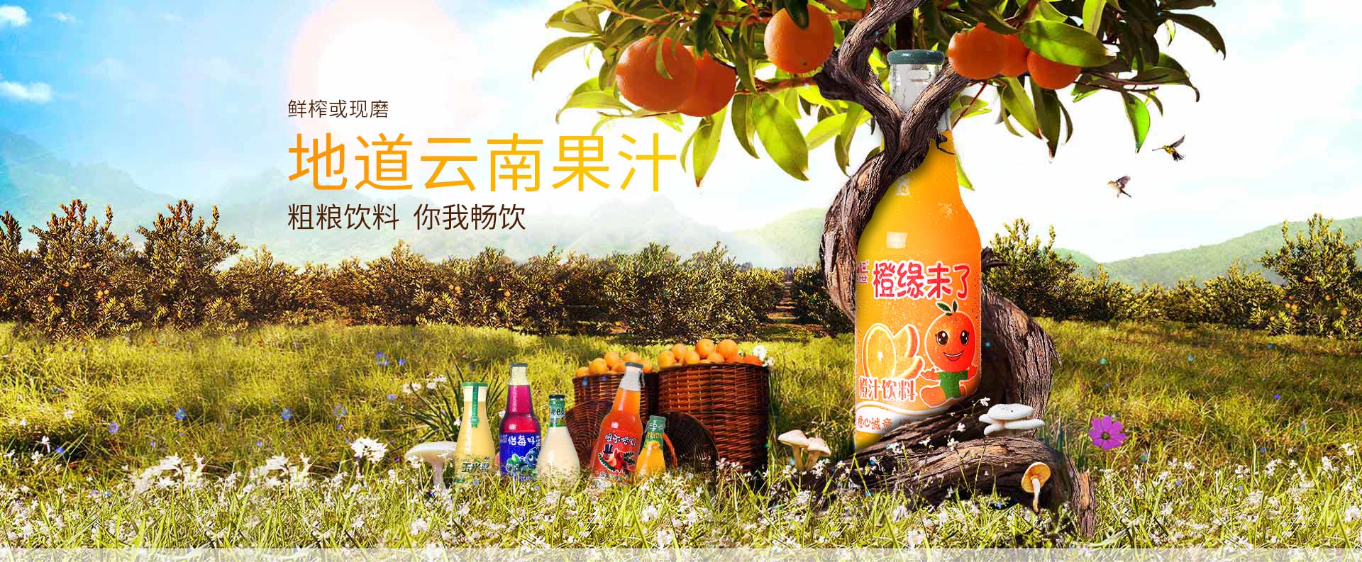 品世飲料，鮮榨或現磨，地道云南果汁